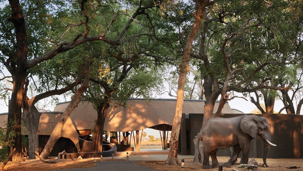 Belmond Safaris