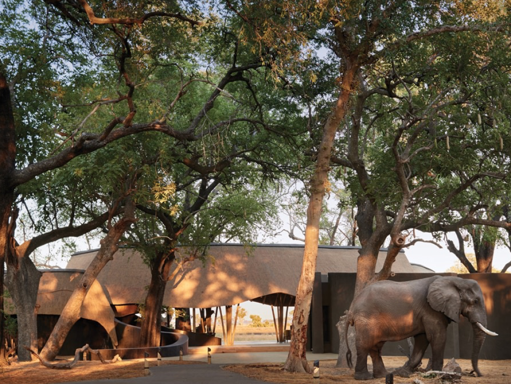 Belmond Safaris